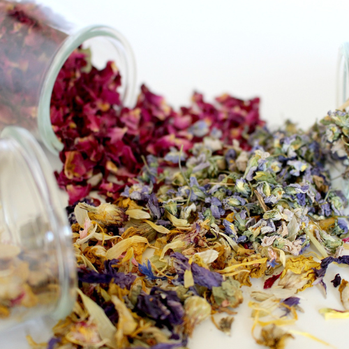 Dried Flowers