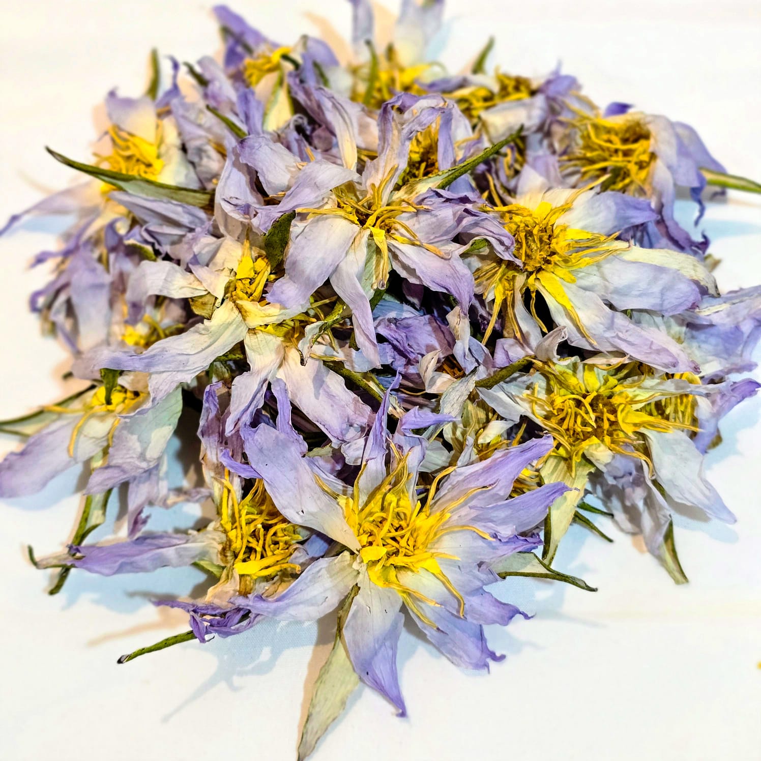 Egyptian Blue Lotus Nymphaea Caerulea Dried Whole Flower Herbal Tea ...
