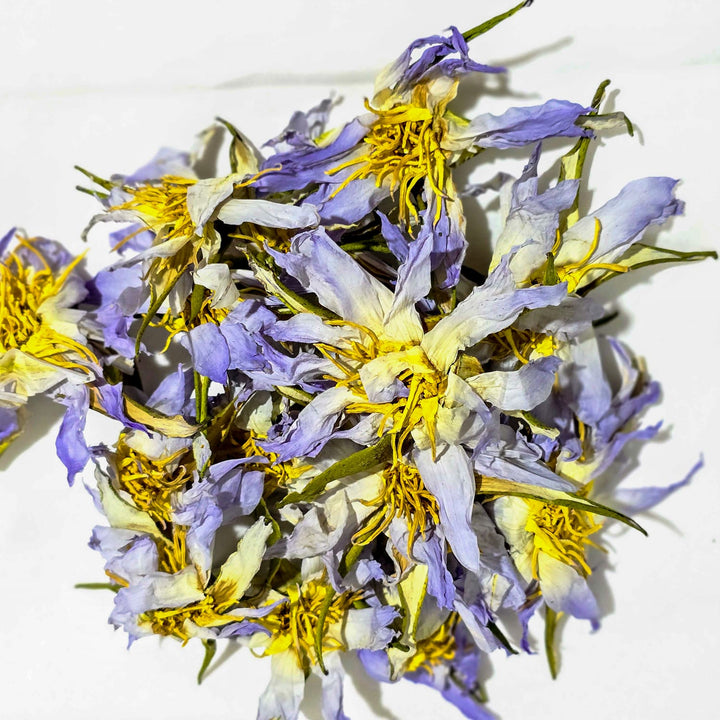 Egyptian Blue Lotus Nymphaea Caerulea Dried Whole Flower Herbal Tea ...