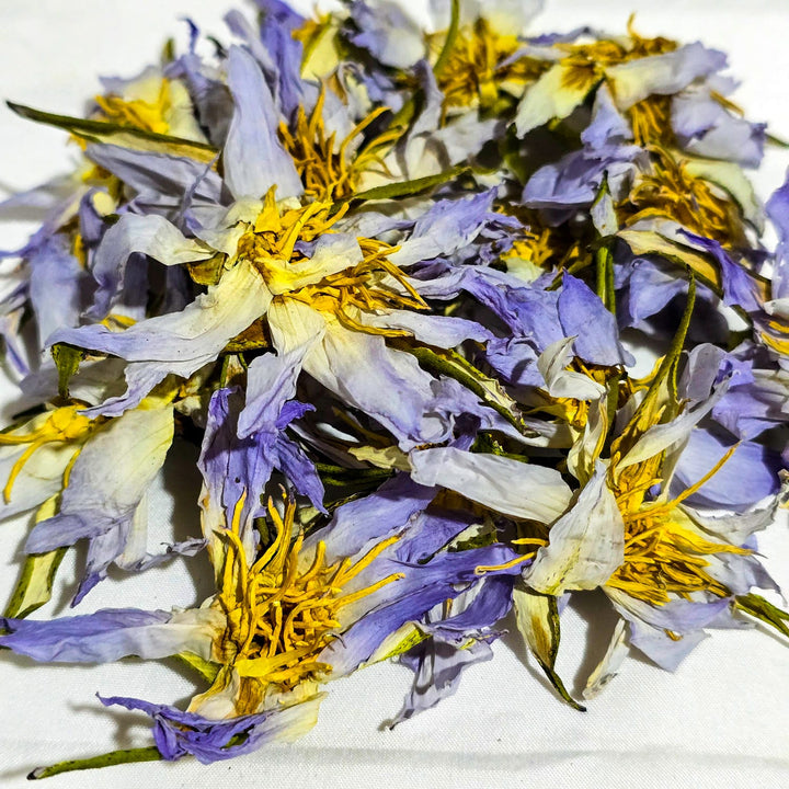 Egyptian Blue Lotus Nymphaea Caerulea Dried Whole Flower Herbal Tea ...