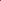 A pile of dried magenta and purple flowers with dark centers, laid flat on a light blue background.