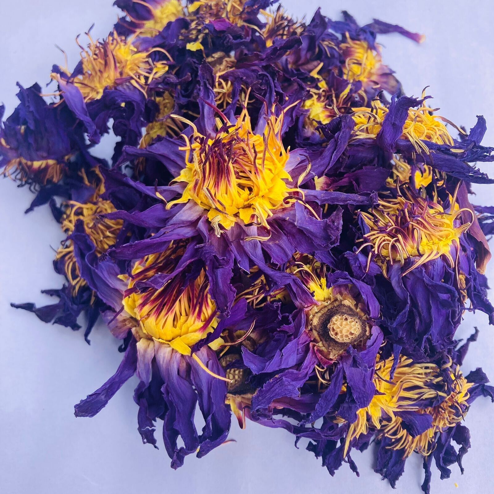 BLUE LOTUS Hand Picked Dried Flower | 100% Organic Ceylon 5kg Nymphaea Caerulea