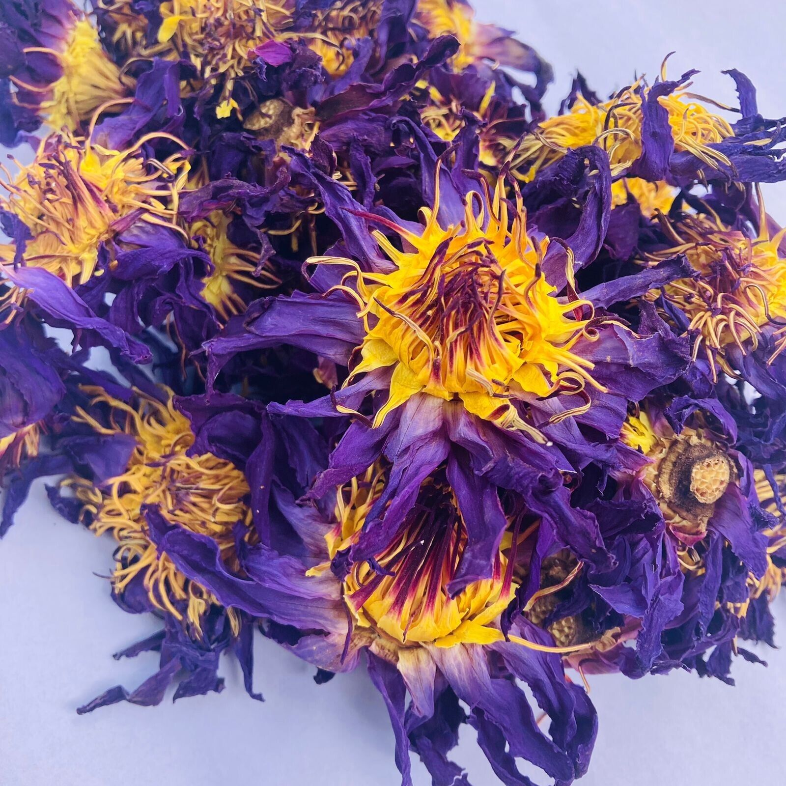 BLUE LOTUS Hand Picked Dried Flower | 100% Organic Ceylon 5kg Nymphaea Caerulea