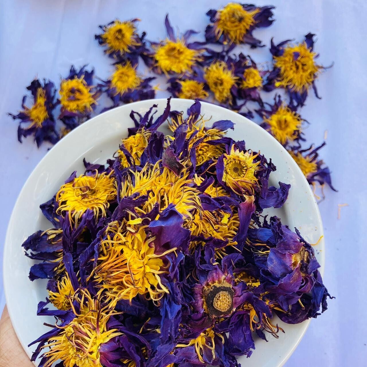 BLUE LOTUS Hand Picked Dried Flower | 100% Organic Ceylon 5kg Nymphaea Caerulea