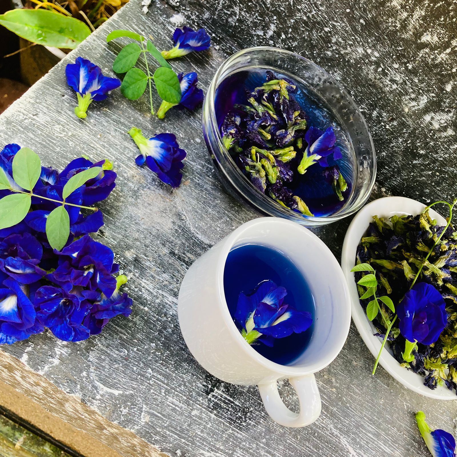 BUTTERFLY PEA FLOWER TEA | 100% Organic Healthy Drink Herbal Tea| Ceylon Charm