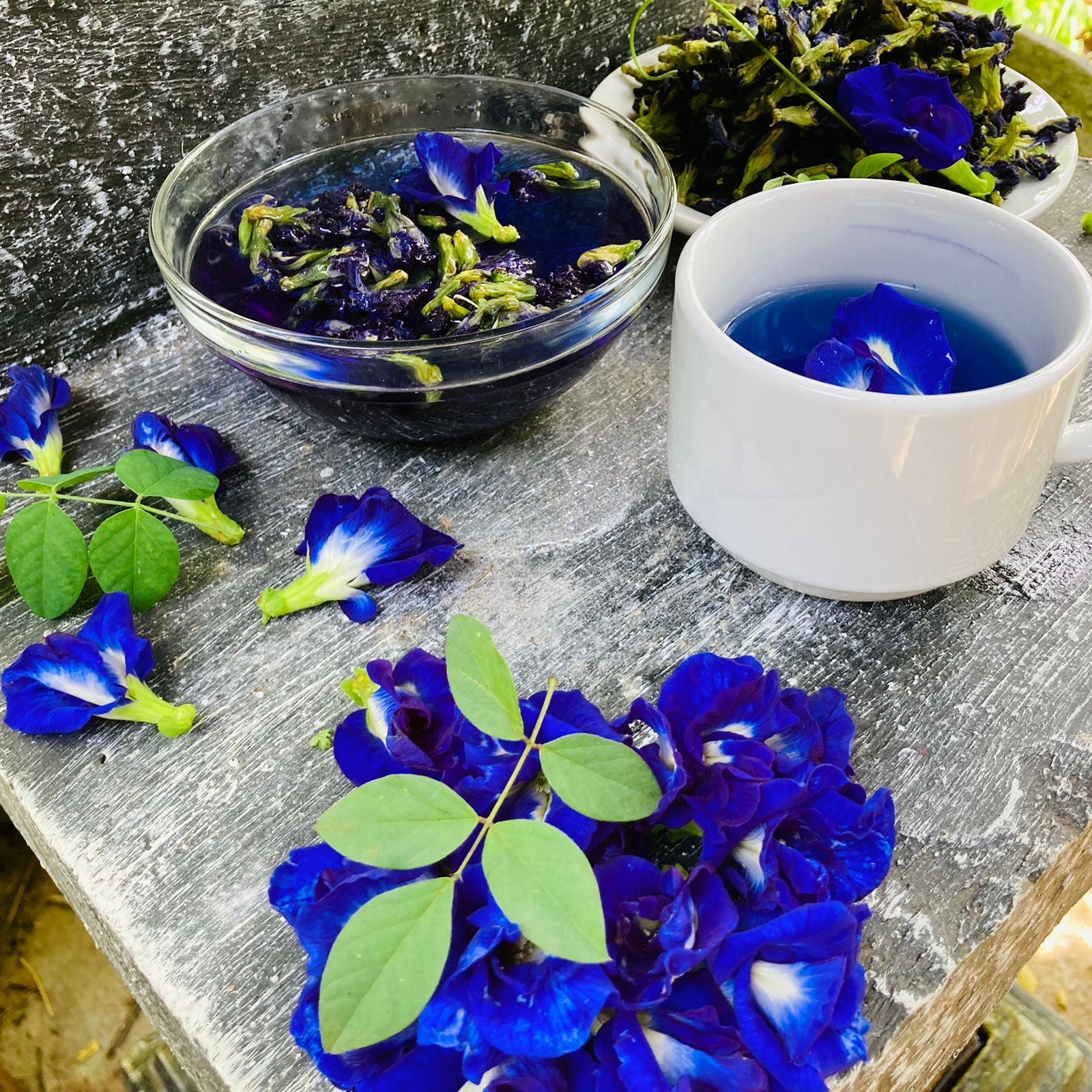 BUTTERFLY PEA FLOWER TEA | 100% Organic Healthy Drink Herbal Tea| Ceylon Charm