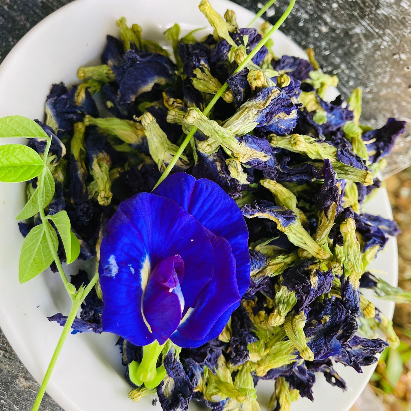 BUTTERFLY PEA FLOWER TEA | 100% Organic Healthy Drink Herbal Tea| Ceylon Charm