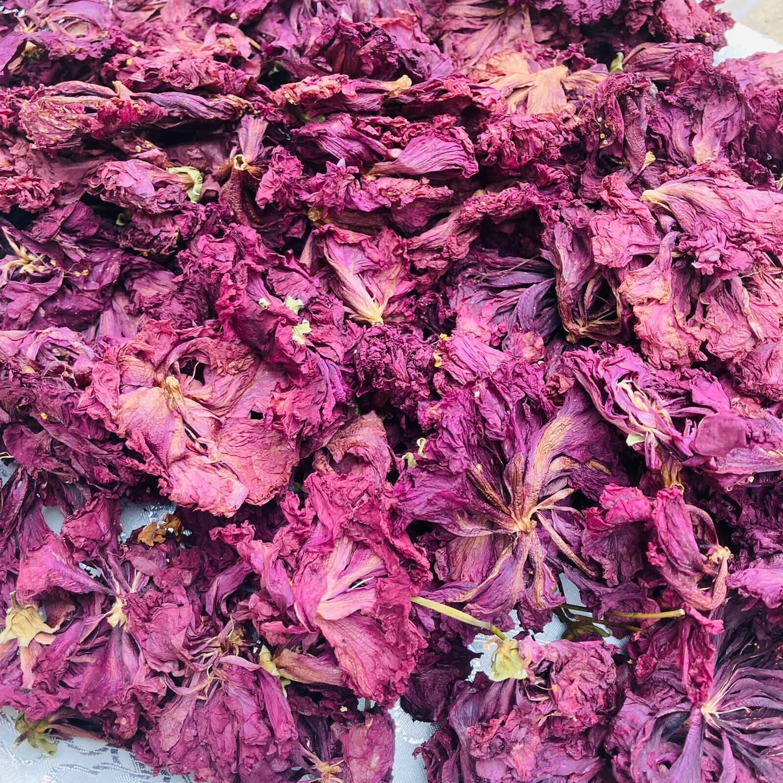 HIBISCUS Dried Flowers Organic 100% Premium HIBISCUS SABDARIFFA Jamaica Tea