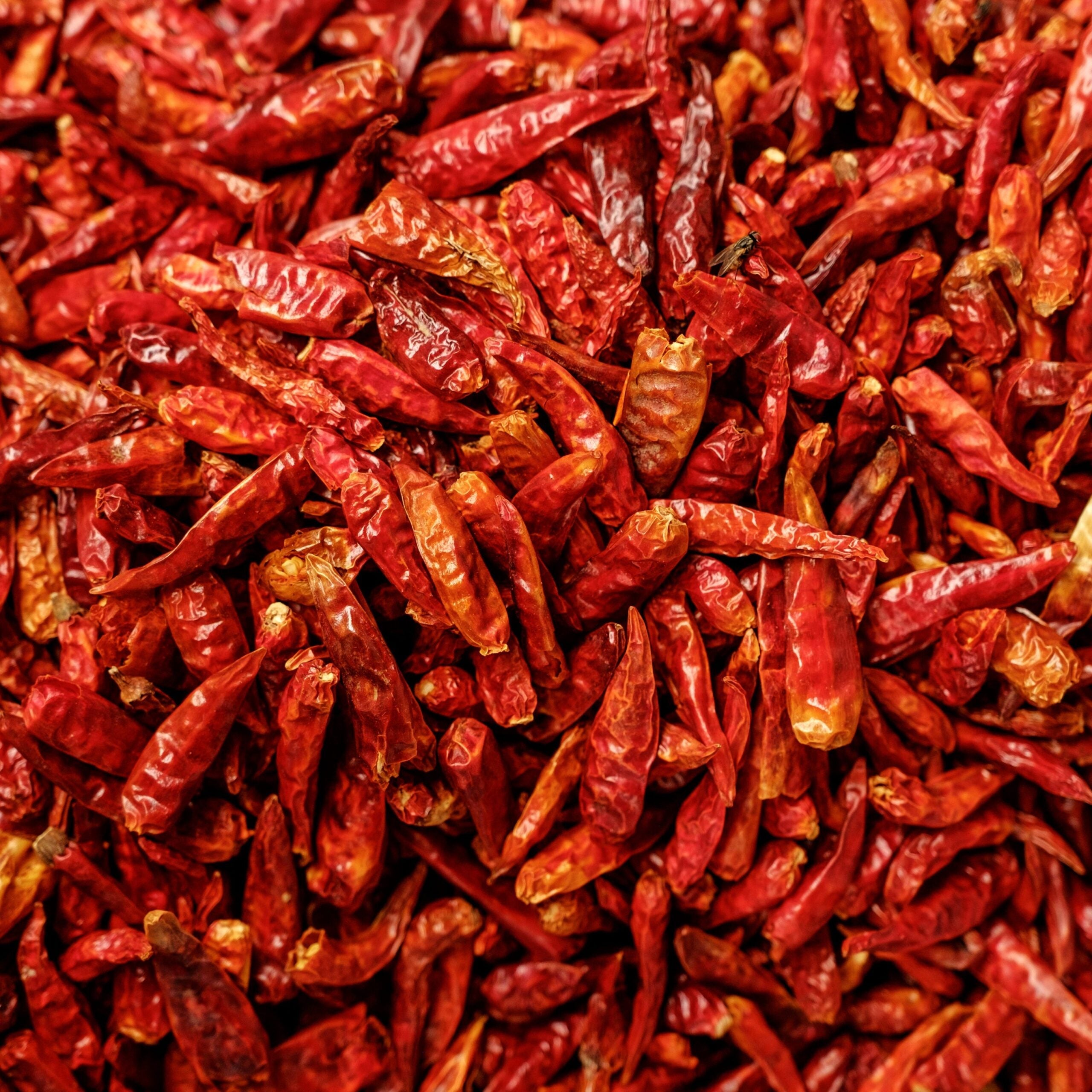 Piment rouge entier séché et moulu à la main | Épices pures de Ceylan de haute qualité 